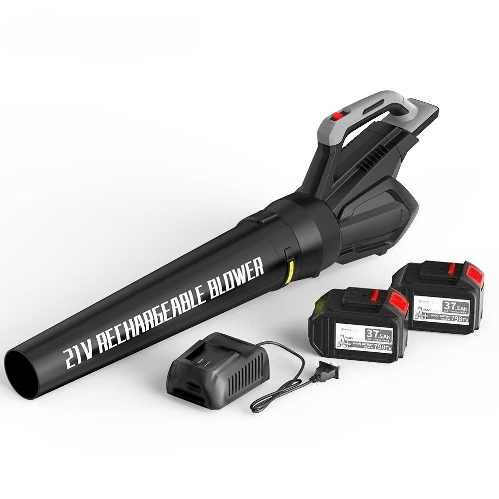 Kabelloser Laubbläser mit Akku – Car Vacuum Bewertung und Preis